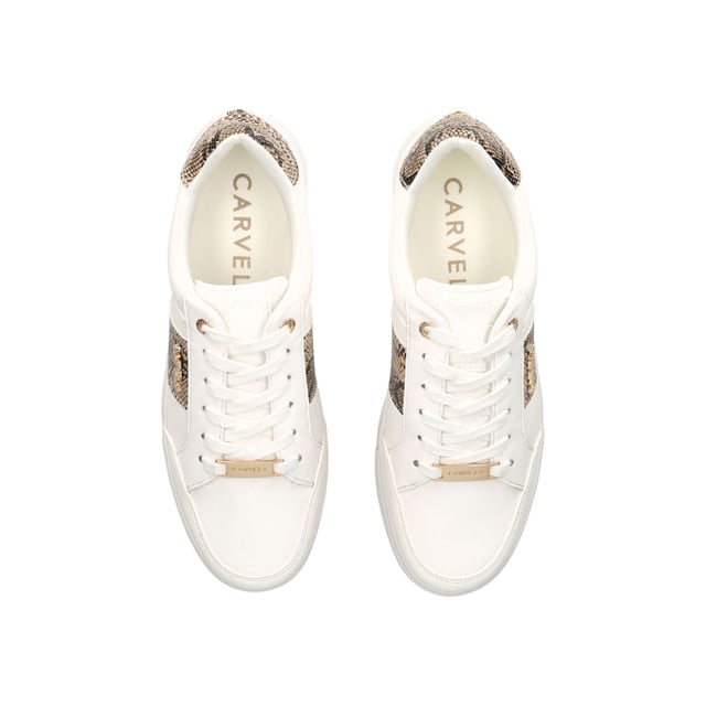 Carvela Jive Lace Up Sneakers